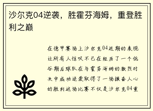 沙尔克04逆袭,胜霍芬海姆,重登胜利之巅